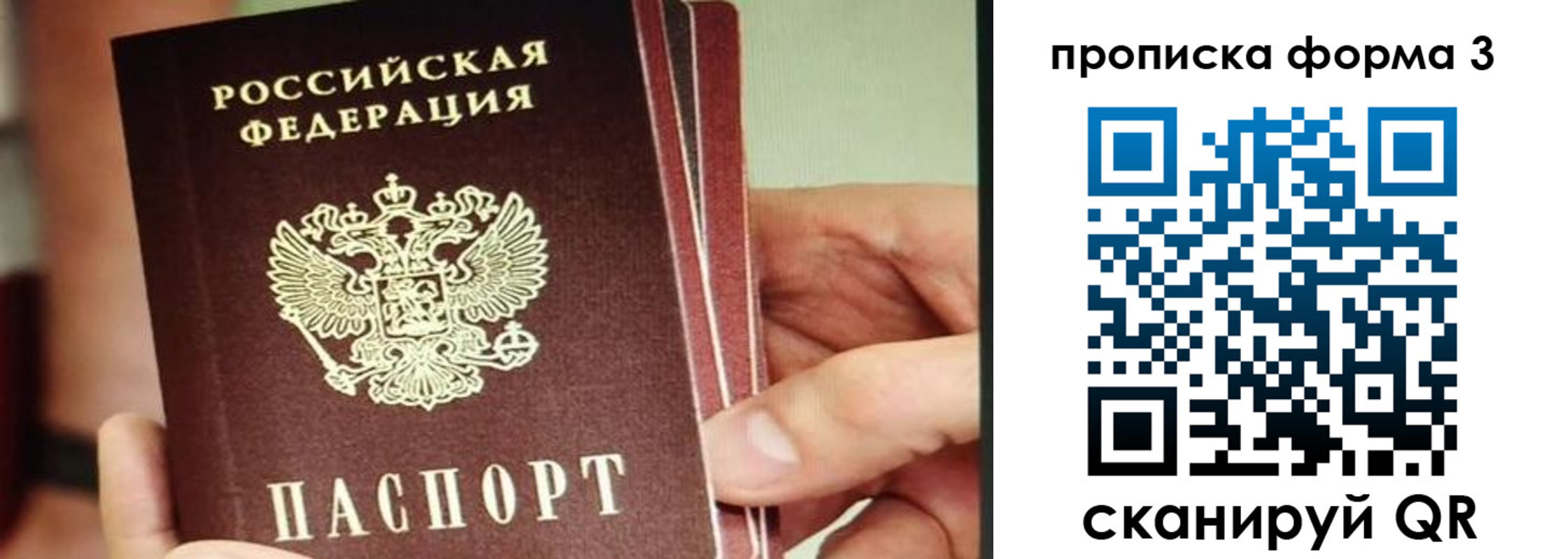 прописка законно в Новой Ляле